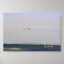 Seemöve in flight_1 plakatdruck
