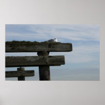 Seemöwe-Druck Plakatdrucke