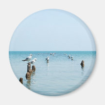 SEEMÖWE-MAGNET MAGNETE