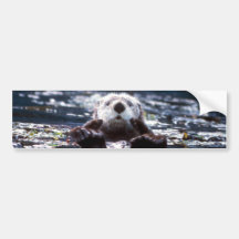 Seeotter-Schwimmen Autosticker