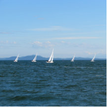 Segelboot-Rennen Photostatuen