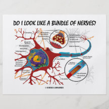 Sehe ich wie ein Bündel Nerven aus? Neuron-Synapse Personalisierte Flyer