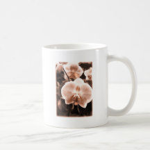 Sepia-Tonphalaenopsis-Orchidee Tee Tassen