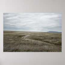 Serengeti Poster