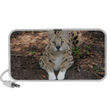 Serval 003 mp3 lautsprecher