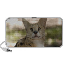 Serval 017 notebook speaker