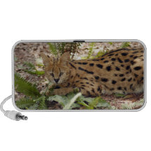 Serval 029 tragbare speaker