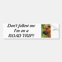Shar Pei HundeAutoaufkleber