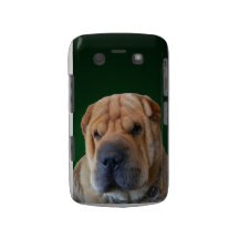 Shar-Pei HundeBlackBerry-Kasten Blackberry Bold Hüllen