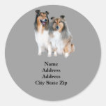 Sheltie Adressen-Etikett Runde Aufkleber