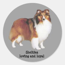 Sheltie Aufkleber