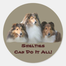 Sheltie Aufkleber