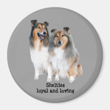 Sheltie Magnet Kühlschrankmagnet