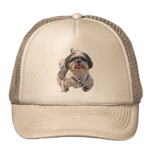 Shih Tzu Mützen