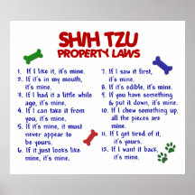 SHIH TZU PL2 PLAKATE