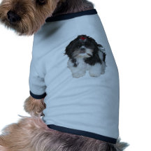 Shitzu Shih Tzu Hündchen Haustierhemd