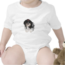 Shitzu Shih Tzu Hündchen Shirt
