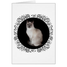 Siamesische Katze Grußkarte