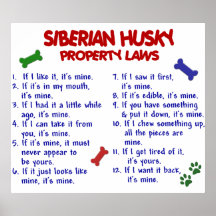 SIBIRISCHER HUSKY PL2 POSTERDRUCKE