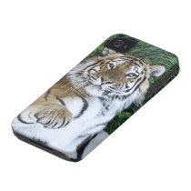 Sibirischer Tiger iPhone 4 Fall casemate hüllen