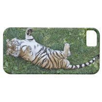 Sibirischer Tiger iPhone 5 Fall casemate hüllen