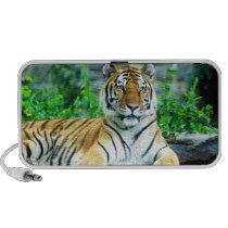 Sibirischer Tiger-Lautsprecher lautsprecher