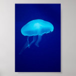 Sich hin- und herbewegende blaue Quallen Poster