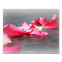 Sich hin- und herbewegende rosa Rosen-Blumenblätte Kunstphotos