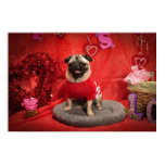 SID das Mopsvalentine-Plakat poster