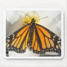 Sie erhellen meine Welt! Schmetterling Mousepads