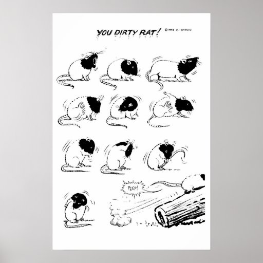 Sie schmutzige Ratte! Posterdrucke
