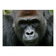 Silber-hinterer Gorilla Karten