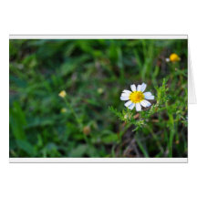 Simple Flower Grußkarte