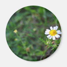 Simple Flower Kühlschrankmagnete