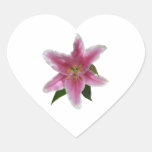Singlestargazer-Lilie Stickers