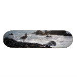 Skateboard mit Ozean und Vogel Individuelle Skatedecks