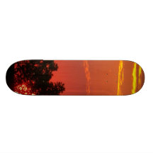 Skateboard Skateboard Bretter