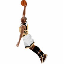 Slam Dunk Foto Figur