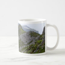 Slieve Liga-Klippe Irland Teehaferl