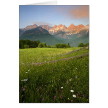 Slowenien-Wiese Grußkarte