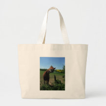 Smile of a horse front of a rape field bag