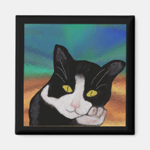 Smoking die Katzen-Magneten