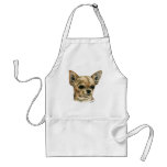 Smoothcoat Chihuahua Schürzen