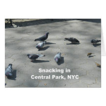 Snacking im Central Park, NYC Karte