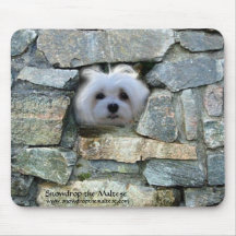 Snowdrop die maltesische Mausunterlage Mousepads