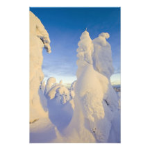 Snowghosts am Sonnenuntergang am Maräne-Berg Kunstfotos