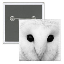 Snowy-Eulen-QuadratPin Anstecknadelbuttons