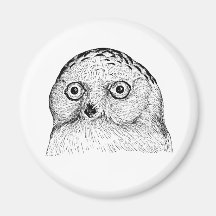 Snowy-Eulen-Vogel-Vintager hölzerner Stich Magnets