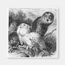 Snowy - gehörnte Eulen-Vintager hölzerner Stich Magnets