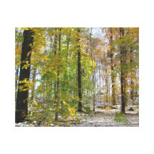 Snowy-Herbst Galerie Faltleinwand